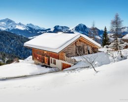 Ferme rénovée proche de La Clusaz avec sauna et jardin