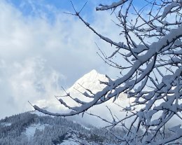 Les Vieilles Pâtures