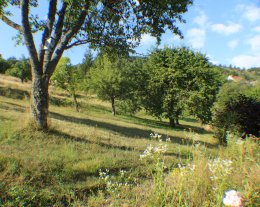 Domaine de la Charrière sur 63 ares - 4 à 8 pers