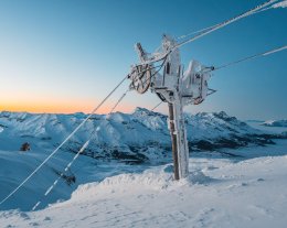 le panoramique la joue du loup