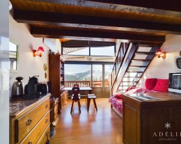 CHARMANT APPARTEMENT IDEALEMENT SITUE