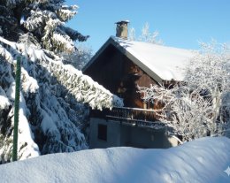 Le Mélèze, chalet cosy et familial