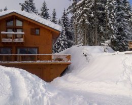 EDELWEISS (chalet sur piste)