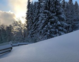 Les Oursons Bât. A1 n°07 Le Cernix