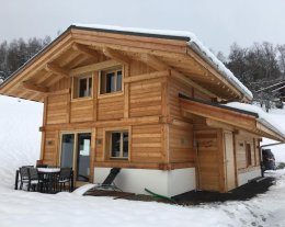 Les Ours de Combloux : Les Ours Bruns