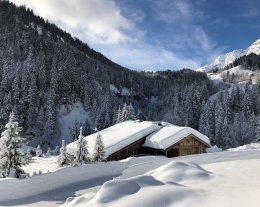 Chalet de l'Armanaz (capacité de 36 personnes)