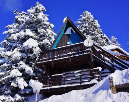 Chalet 7/8 places plein sud
