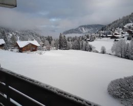 Appartement 4/6 pers Le Bois Gentil, 50m des pistes