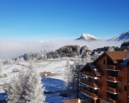 PANORAMIQUE