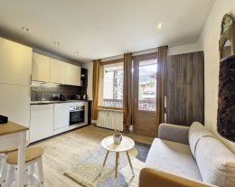 2 PIECES CENTRE RENOVE