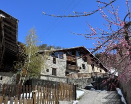  MARMOTTES luxe,10 à 12 pers, le villaret peisey nancroix paradiski, spa intérieur et sauna