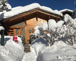 LE CLOS DE L'OURS - Chalet 4 pièces