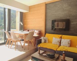 2* SUPERBE APPARTEMENT RENOVE AVEC VUE SUR PISTES