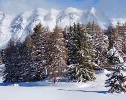 Twin chalet 2,  Prestations Premium ****