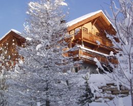 L'OREE DU BOIS, ***, appartement au rez-de-chaussée d'un magnifique chalet