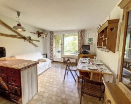 APPA ANEMONE 10 - VALLOUISE LA CASSE . Studio en rez de jardin ( 4 personnes = 2 adultes+ 2 enfants)