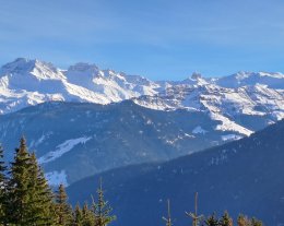 4 pièces duplex (6 couchages adulte + 1 lit d'appoint enfant) - LES SAISIES / Bisanne 1500- Résidence MGM "Les Alpages de Bisanne"/Piscine chauffée/pied des pistes. - Ref: A14 